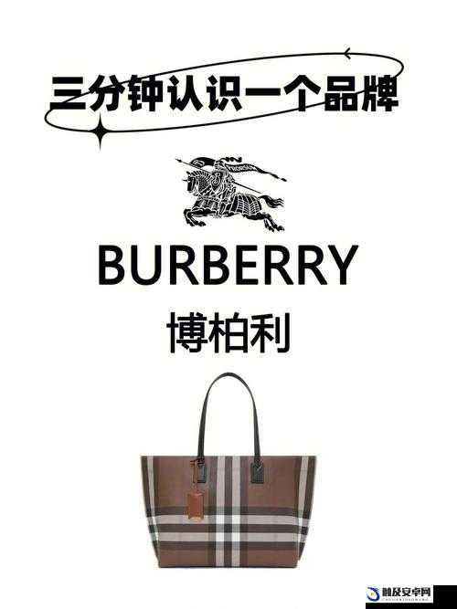 bubbery 官网：时尚潮流的引领者