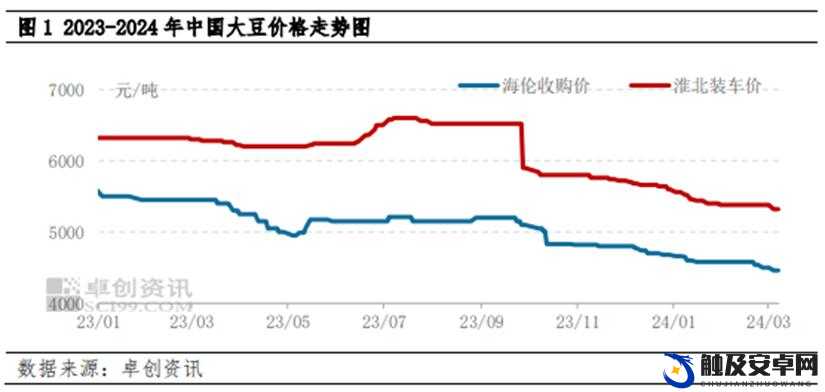 大豆行情网免费 v 实时行情精准把握