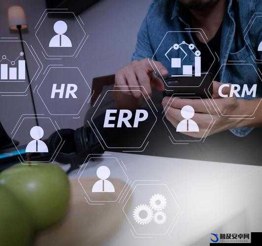 成免费的 CRM 是正规还是仿：深入探究其本质与特点