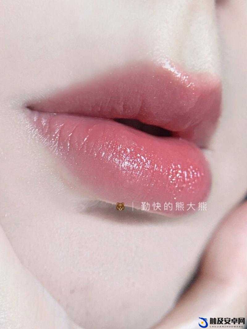 ysl 水蜜桃 86free 究竟是什么样的存在呢