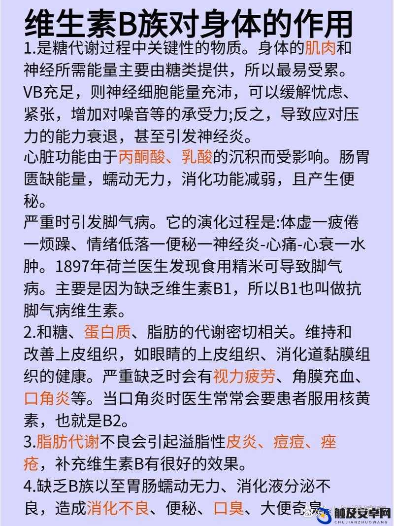 B 大与小有什么好处以及其对个人和社会发展的重要影响