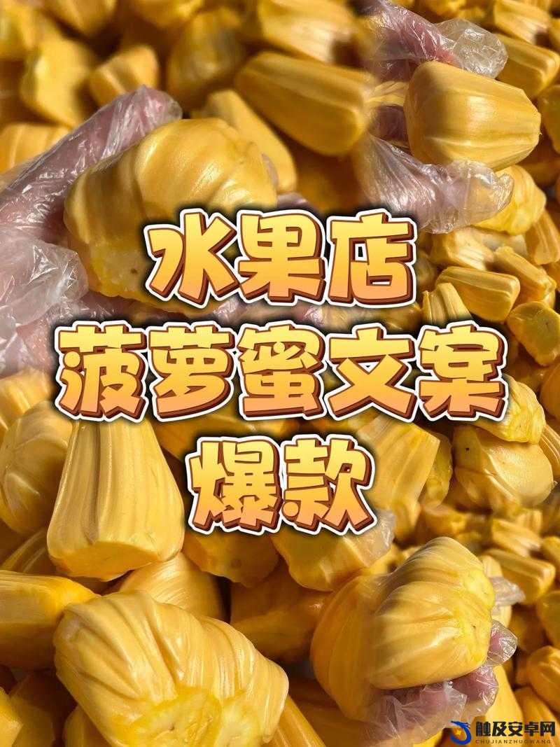 菠萝蜜视频在线观看精彩无限畅享优质内容