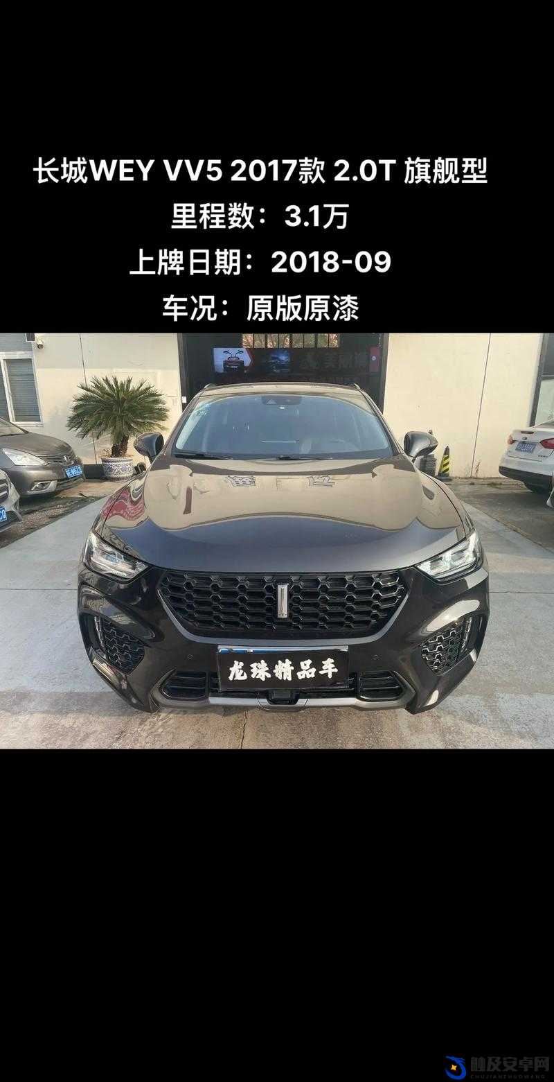 weyvv5 国产 SUV 免费大放送啦