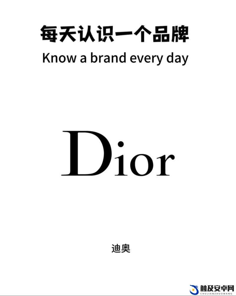 Dior 是什么牌子：探索其背后的时尚魅力与经典传承