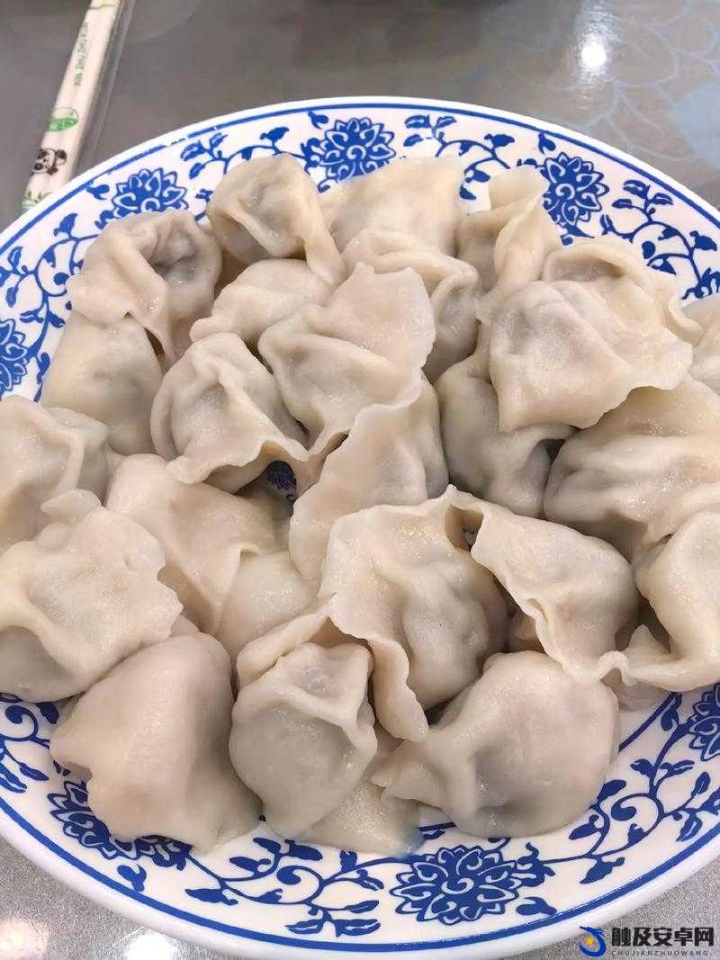 把你的香肠放在我的饺子里：这奇妙的美食融合创意