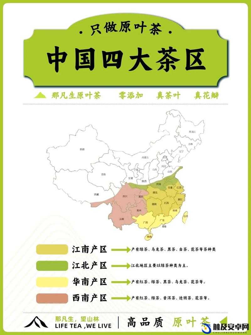 亚洲一线产区、二线产区、三线产区：探索茶叶的奥秘