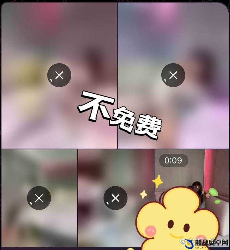 交流视频：观看的新体验