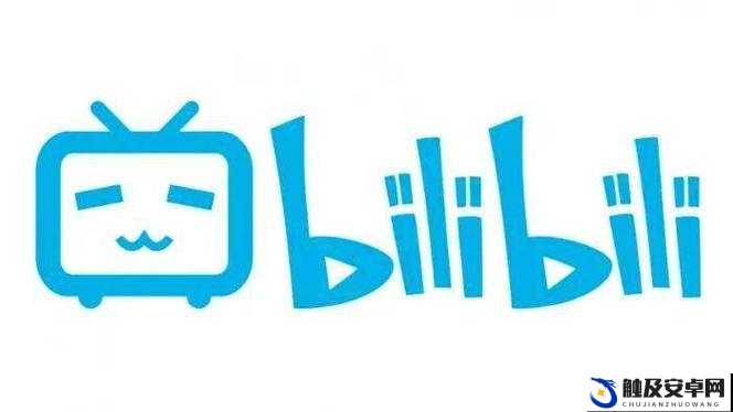 www.bilibili.com ：一个充满创意与乐趣的视频平台