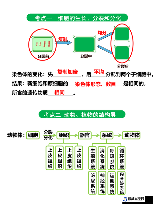 对填的很满是什么感觉这一体验的深入探讨