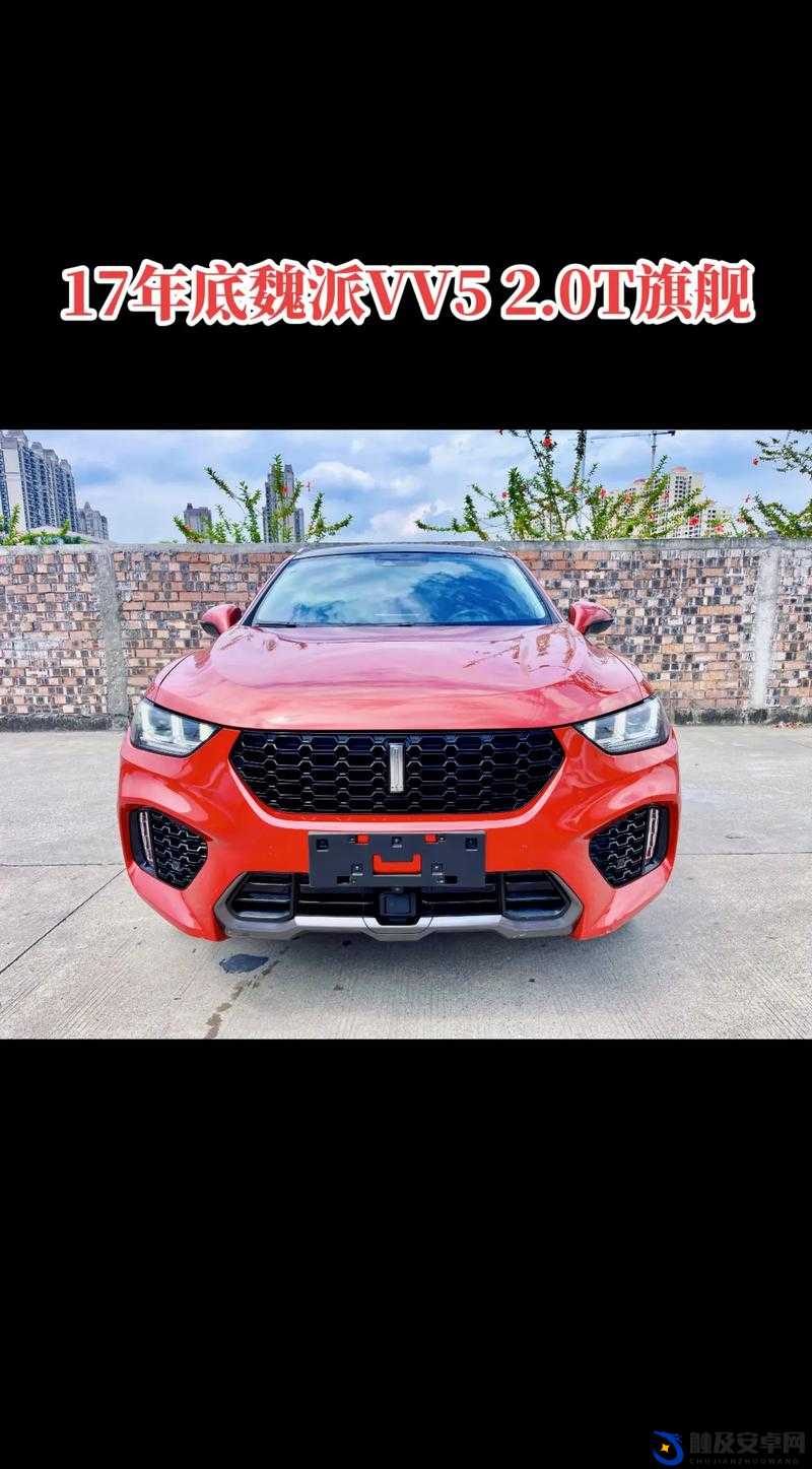 WEY VV5 国产 SUV：卓越品质引领驾乘新潮流