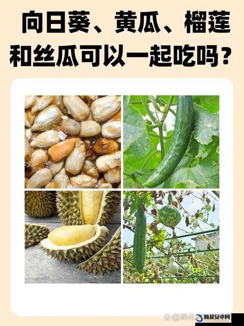 草莓香蕉榴莲丝瓜：水果与蔬菜的奇妙组合大揭秘