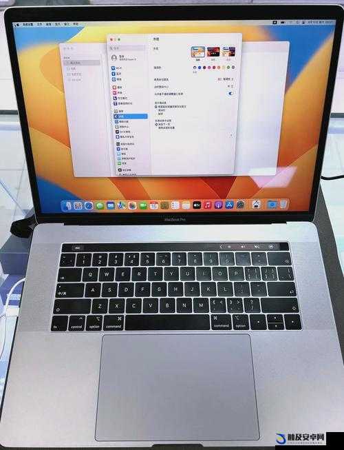 19 岁 MACBOOKPRO 欧美展现独特魅力与风格