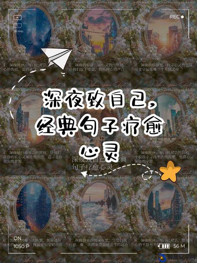 午夜的坚持：在寂静中追求梦想