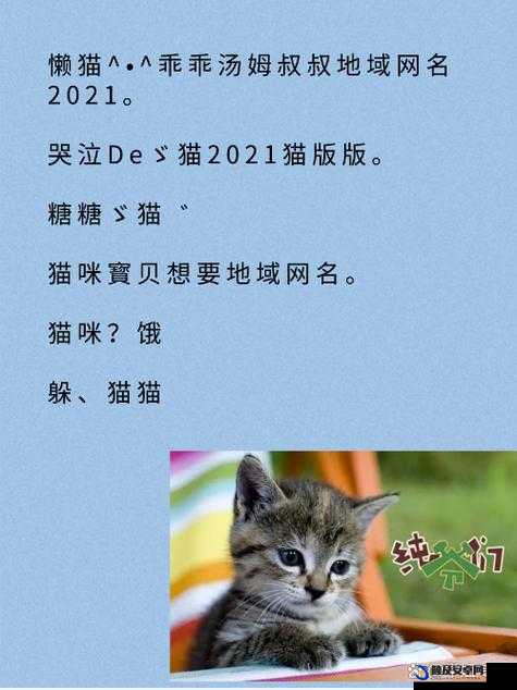 新版猫咪地域网名入口下载：探索猫咪的神秘世界