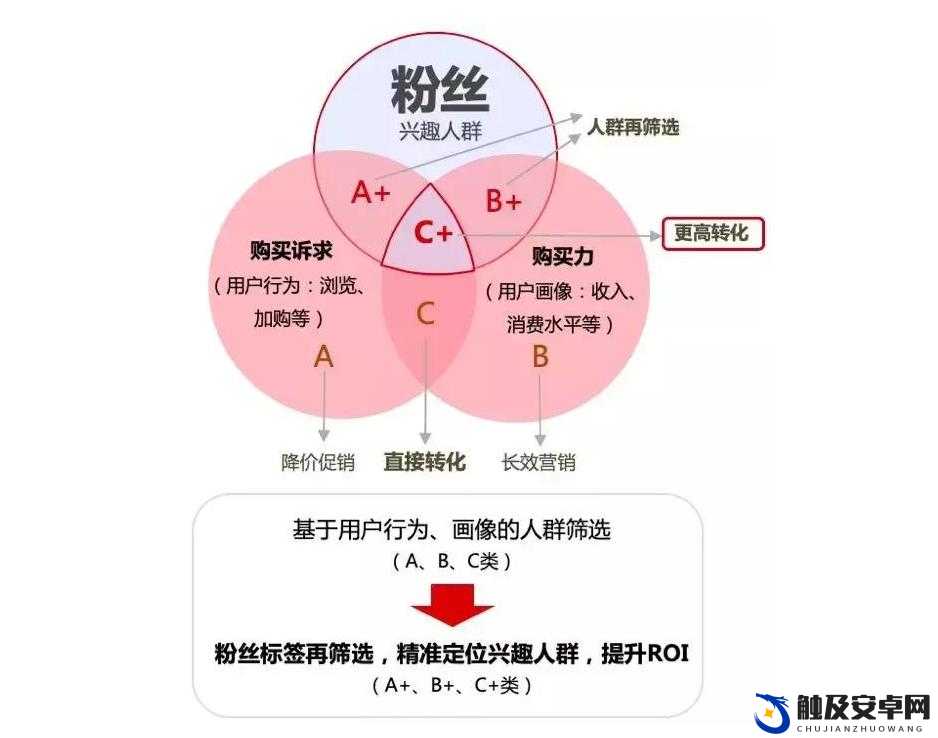 掌中的韵母柳如玉粉丝增长迅猛：数据背后的故事