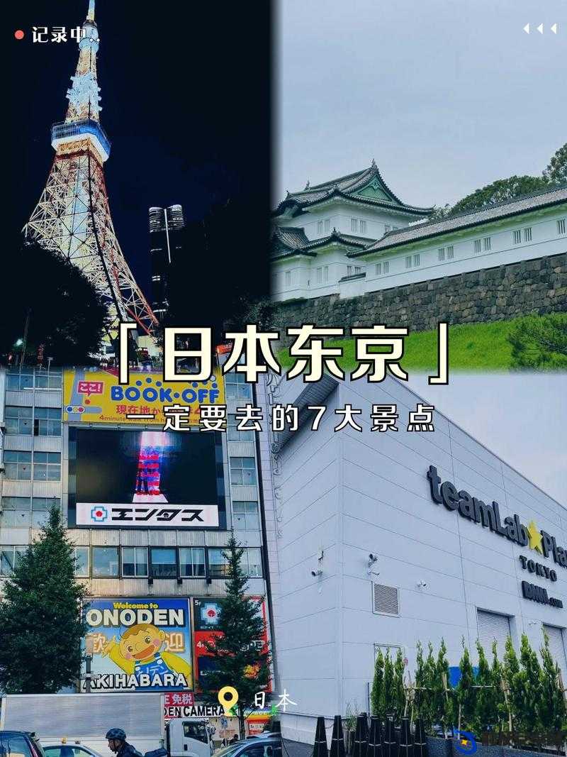 在线观看日韩一区，领略日韩文化魅力