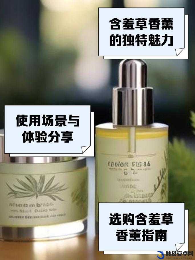 探秘 Diptyque 含羞草香薰：带你领略独特的芬芳魅力与背后故事