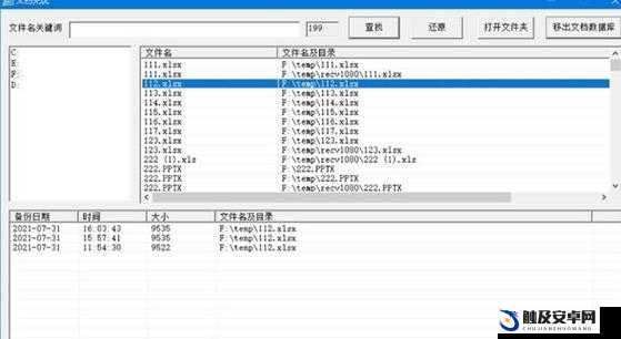 网站免费进入窗口软件有哪些：详细分类与特点介绍