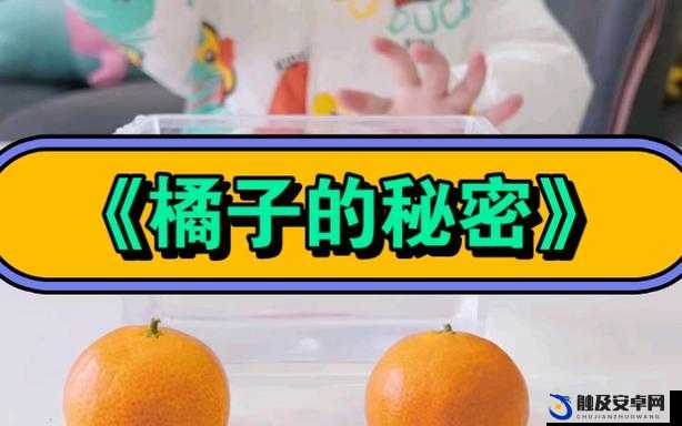 可不可以 po 橘子糖水：探索独特饮品背后的甜蜜秘密