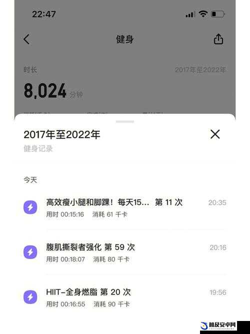 欧洲无线一线二线三 W955：畅享无线精彩世界