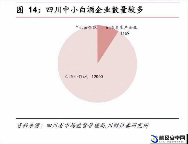 gb 四川相关信息引发的深度探讨与思考