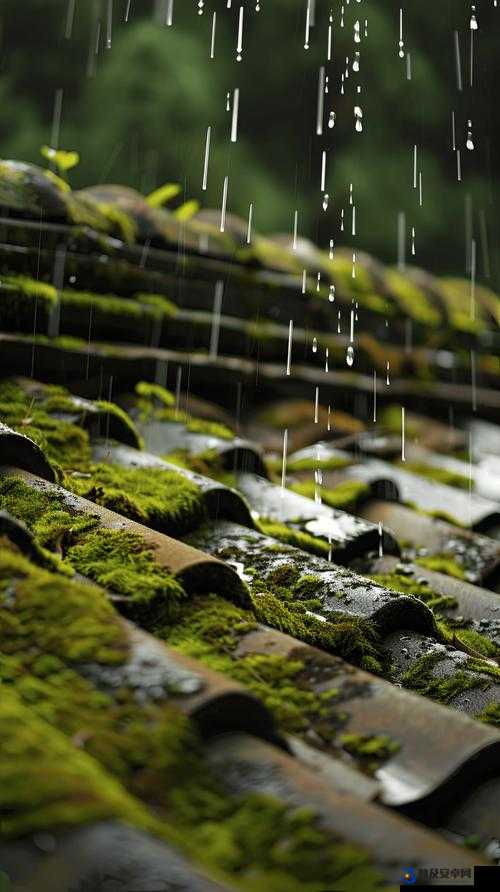 填得很满感觉春雨回答之详细解析与深入探讨