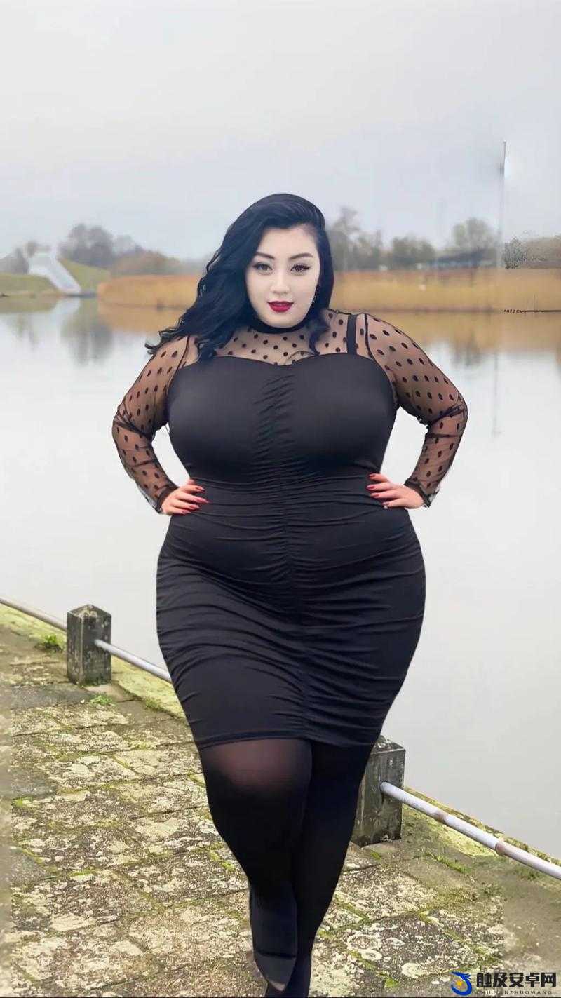 缅甸丰满 BBwBBwBBw：探寻缅甸文化中的丰满之美