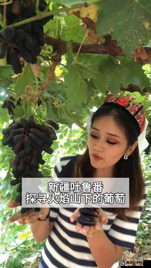 才一颗葡萄就疼成这样简介：探寻背后的疼痛缘由