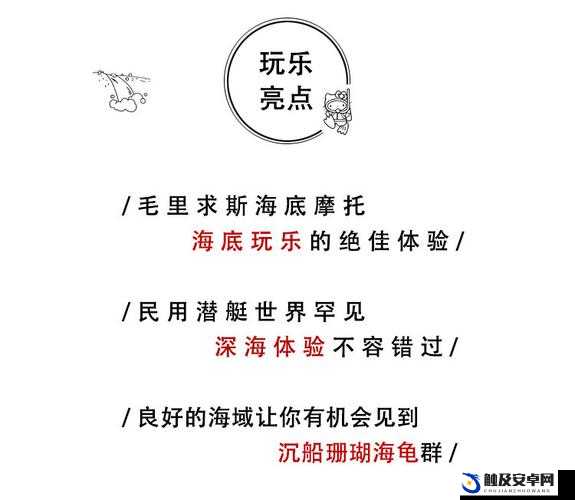 亚 1 区至 4 区产品独特魅力与非凡体验