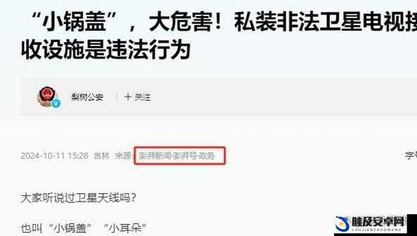 成年 18 款禁用 B 站：为何被禁？有何影响？