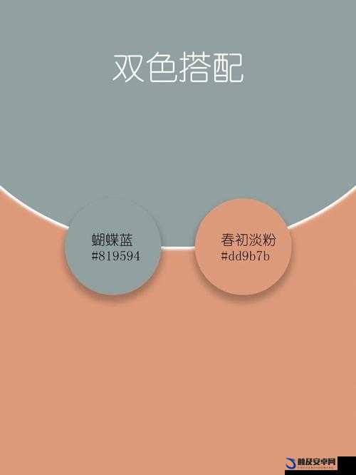 悠悠色资源九色精华：探寻独特魅力之所在