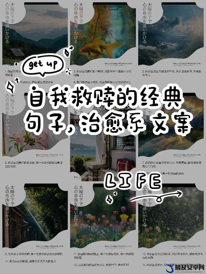 从阿司匹林的裙摆上发现的秘密：关于爱与救赎的故事