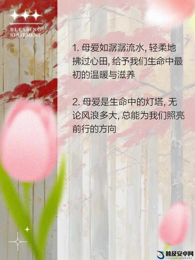 亲爱的母亲：您是我生命中永恒的温暖与力量源泉