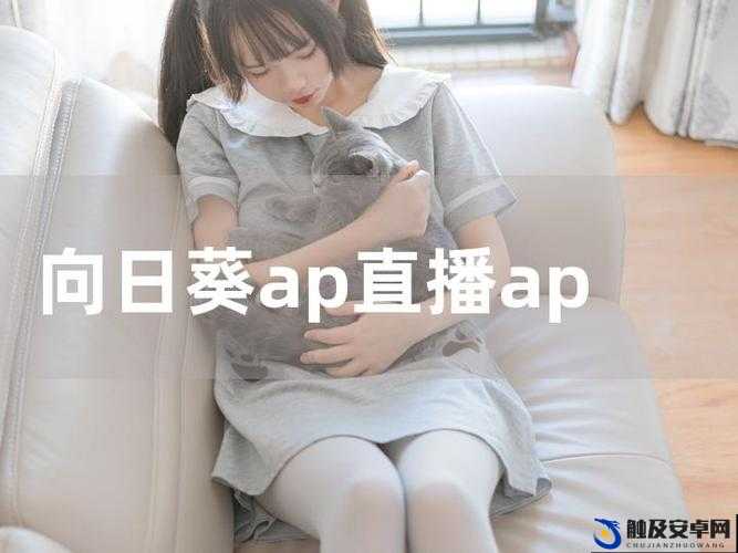 适合晚上看的 APP 下载直播：精彩内容等你来发现