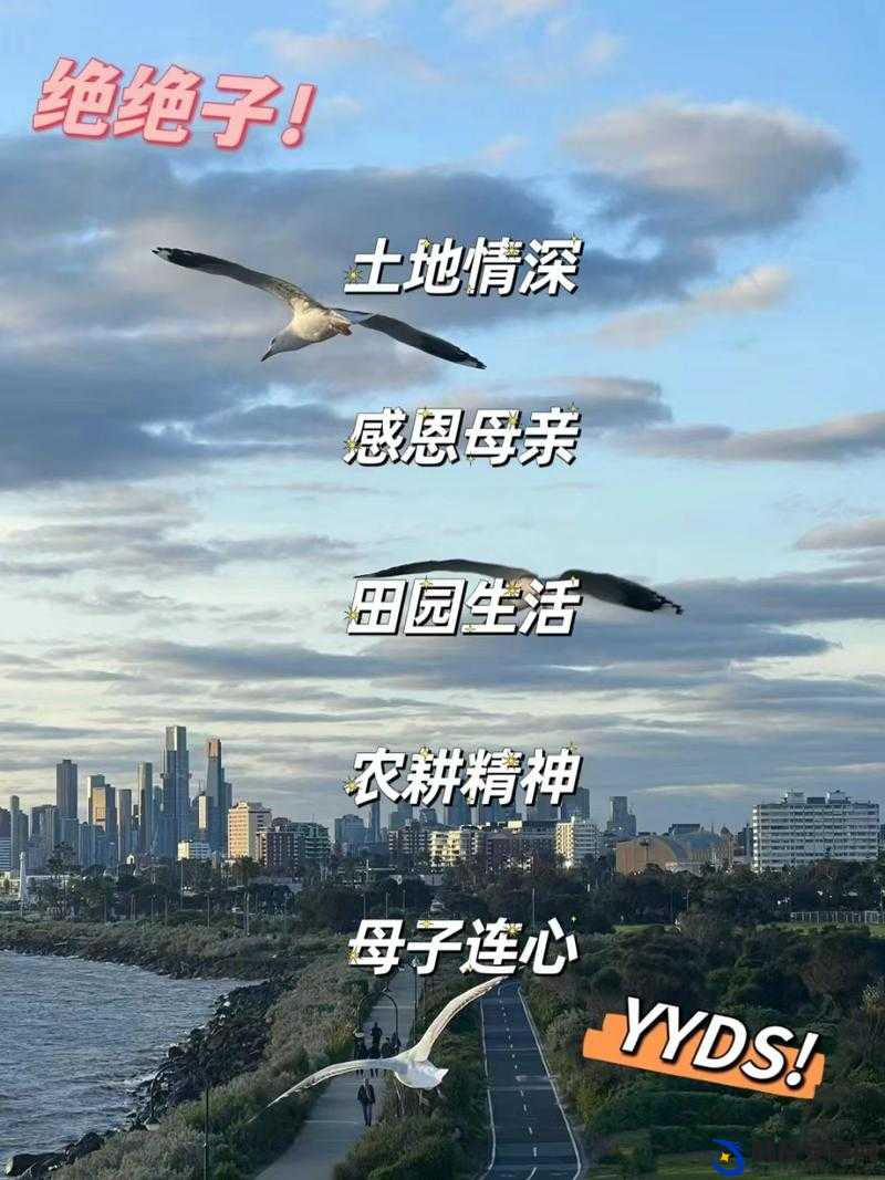 儿子耕种母亲的田地叫什么名字：解析背后的故事与意义