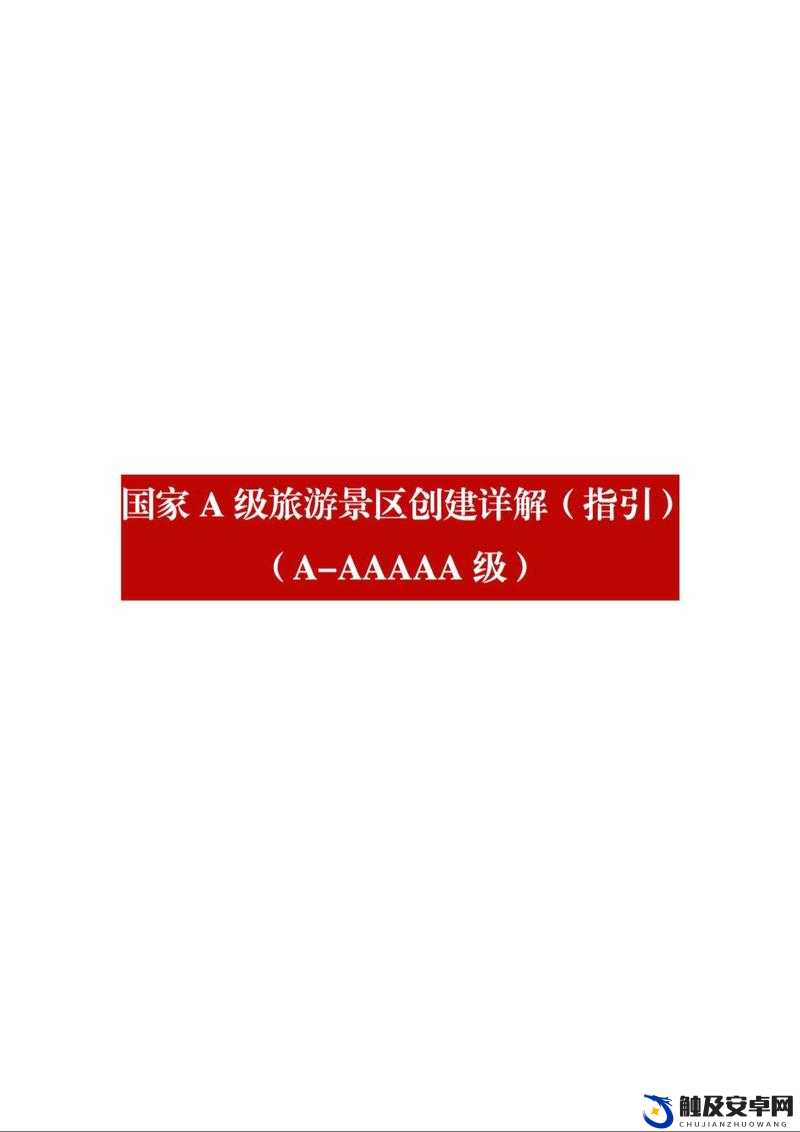 AAAA 级与 AAAA 级怎么标：详细解读与规范指引