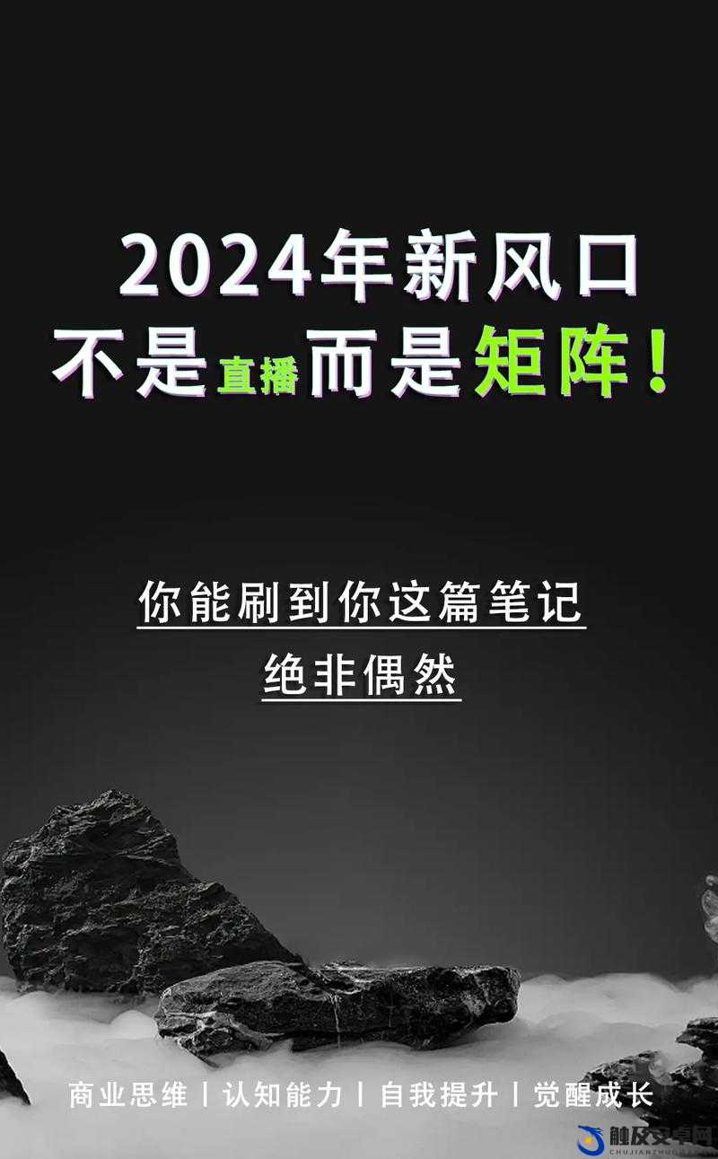 暗黑爆料官方入口 2024 最新版全新资讯大揭秘