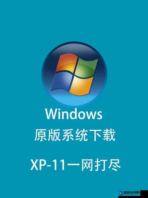 中国高清 Windows 视频软件：带来极致视觉享受