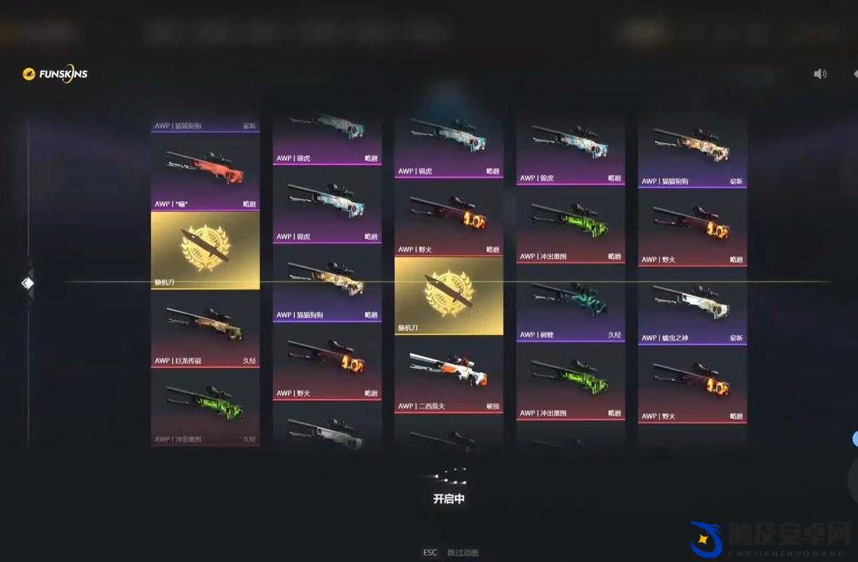 CSGOskins 相关：探索其独特魅力与精彩玩法