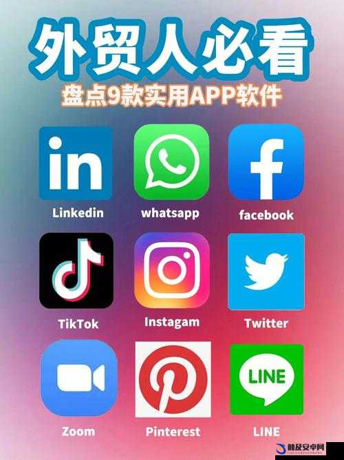 成为视频人必备 APP 软件有哪些：从入门到高手的秘诀