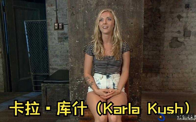 karlakush 对战多人激烈角逐精彩呈现