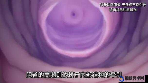 俄国女人高潮时到底喊了什么：探索异国女性性体验的奥秘