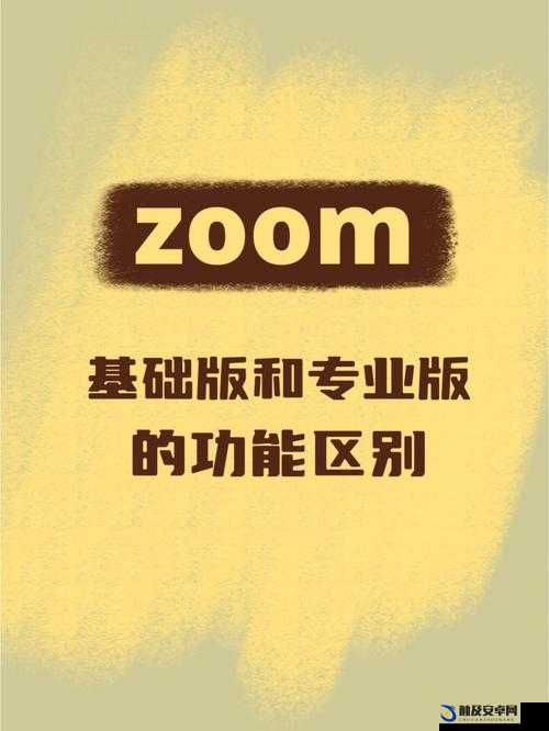 日本 Zoom 与国产 Zoom 对比：功能、价格、安全性大揭秘