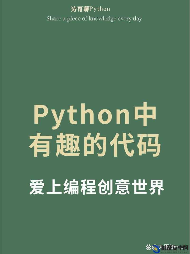 免费 PYTHON 在线观看：带你走进编程的奇妙世界