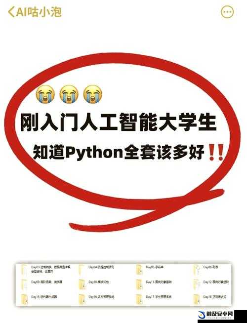 Python 人马兽的强大功能及其广泛应用探讨