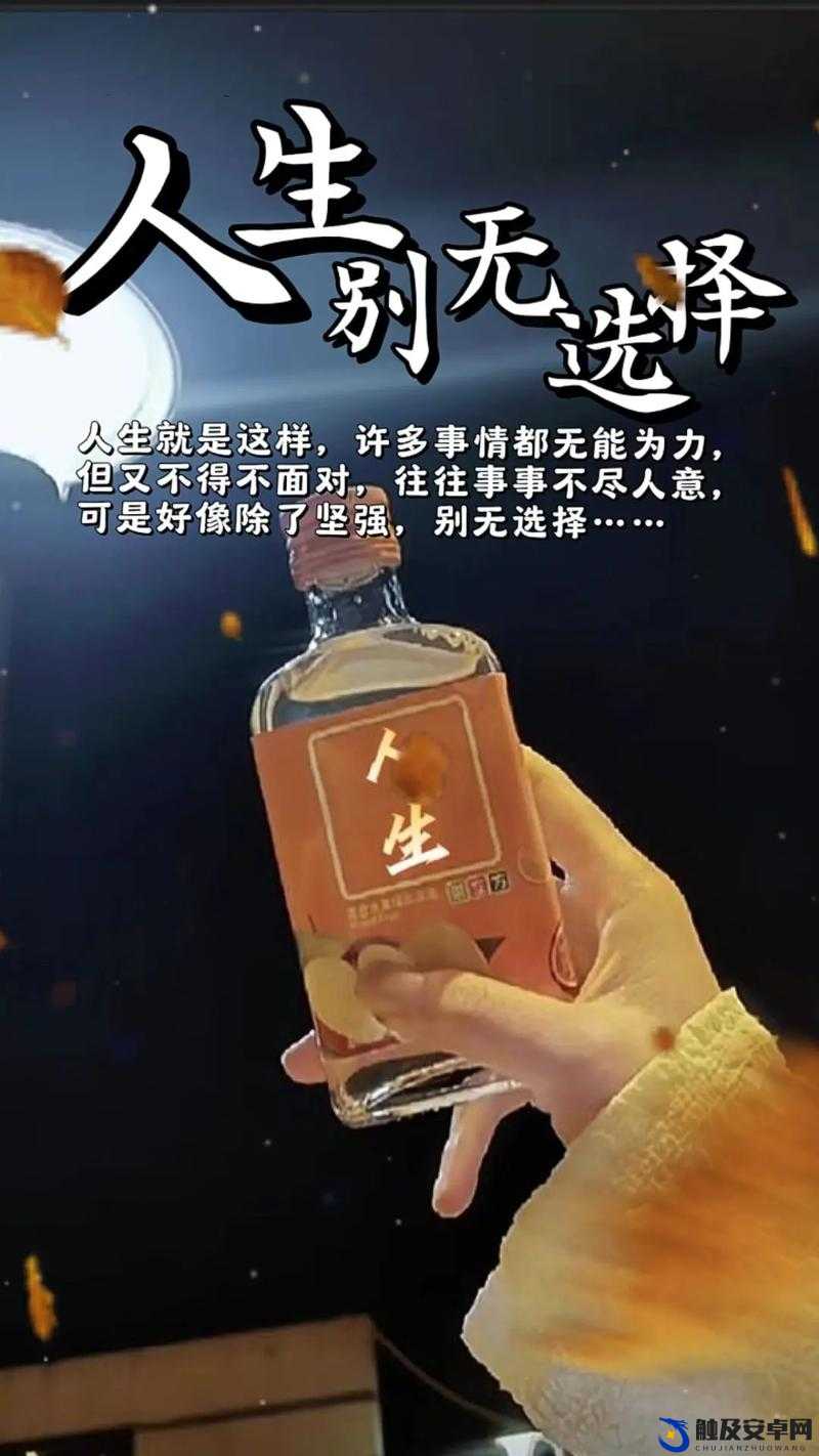 晚上睡不着偷偷看 B 站入口：深夜必备，放松身心的绝佳选择