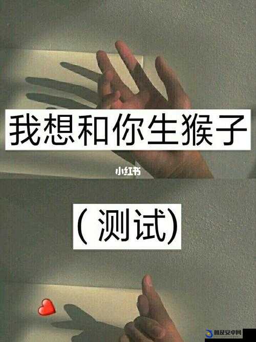 两人生猴子全程无被子可以吗：探寻其中缘由与影响