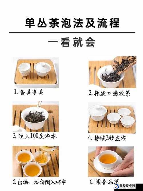 大掌门游戏深度解析，陆羽泡茶玩法技巧与全面指南