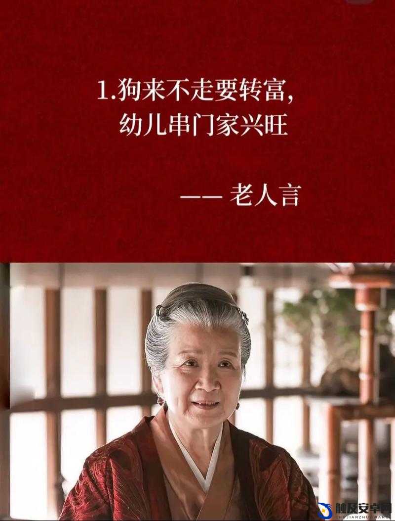 老人性开放之独特经历与感悟探讨