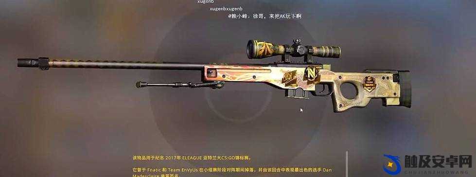 日本 csgo 大姐姐 awp 多少钱：其价格背后的影响因素分析